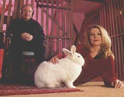 Robert fripp and toyah willcox credit: Crimpage King Crimson Zdjecia Robert Fripp King Crimson Muse Band Crimson