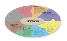 Data Scientists Vs Data Engineers Data Science Central Data Science Data Scientist Master Data Management