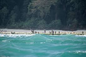 The Sentinelese Hold Javelins As They See Outsiders Approaching North Sentinel Island Places To Visit Remote Island