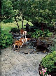 Pin On Backyards