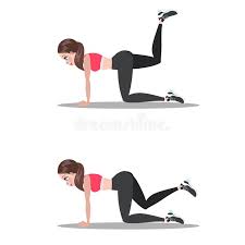What's the scientific name for the donkey kick? Woman Doing Donkey Kick Exercise In The Gym Stock Vector Illustration Of Graphic Athlete 137827152