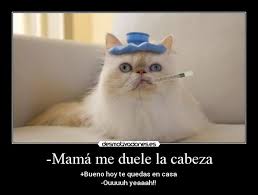 Bildresultat för me duele la cabeza