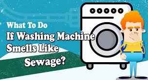 One of the most common causes of sewage smells in a laundry room is having a dry trap. Ways To Eliminate Sewage Smell In Washing Machine Infographic
