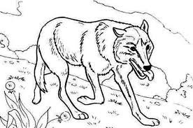 You can use our amazing online tool to color and edit the following deer coloring pages printable. Wolf Hunting For Food Coloring Page Download Print Online Coloring Pages For Free Color Nimbus