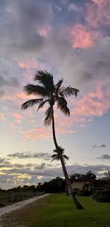 West Wind Inn 250 Value Island Rewards Coupon Book Ocean View Ocean Breeze Cotton Candy Sky