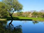 Forty Niner Country Club | Tucson Golf Estates