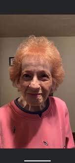 Ann Fleischman Obituary