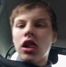 André-Bourquin Profiles