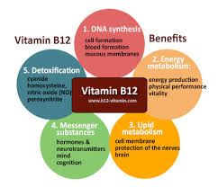 Vitamin B12 Benefits Dr Schweikart