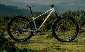 Image result for Orbea knobelii