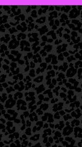 Black And White Cheetah Print Black Cheetah Print Created By Andrea Www Kentuckybabiee Com Leopard Wallpaper Cheetah Wallpaper Cheetah Print Wallpaper