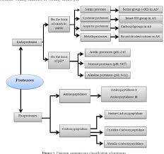 For one, proteases catalyze the breakdown of contaminating proteins present in the solution to its component amino acids. Figure 1 From Bacterial Protease Enzyme Safe And Good Alternative For Industrial And Commercial Use Semantic Scholar