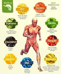 Mejor Freidora Sin Aceite 2018 Opiniones Y Descripciones Recetas Pollo Faciles Res Carne Salu Healthy Nutrition Health And Nutrition Health And Wellness