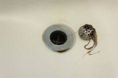 Check spelling or type a new query. 10 Septic Ideas Septic System Septic Tank Sewage Pump
