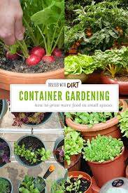Container Vegetable Gardening Grow More Veggies In Small Gardens Container Vegetables Container Gardening Vegetables Growing Vegetables