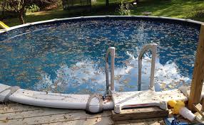 L Entretien De La Piscine Pour Une Eau Propre Un Imperatif Surtout Pour Les Enfants