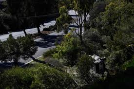 The scene of tiger woods' car wreck in los angeles. 5zapywnmze5g M