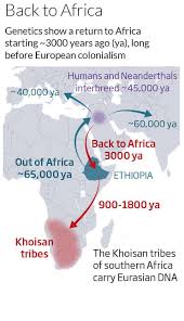 A lie about children's paternity back in 1700 means tens of thousands of south africans today are using the wrong surname. Humanity S Forgotten Return To Africa Revealed In Dna New Scientist