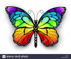 Mariposa Colores Frios Novocom Top