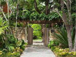 Carex Garden Design By Carolyn Mullet Photo Landscape Design Jungle Gardens Tropical Garden Design
