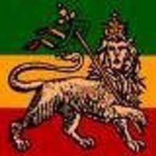 Funny photoshopped duck with horse face photo for facebook. Funny Amharic Jokes On Twitter X Ray Amharicjokes X Ray Amharic Ethiopia Photoshop Jokes Doctors More At Https T Co Halo3e4zyf Https T Co Styoyaayzl Https T Co Suwymyfaim