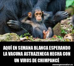 En estudios con la vacuna de astrazeneca se vio que la segunda dosis no potenciaba nada la respuesta celular inducida por la primera. Meme Personalizado Aqui En Semana Blanca Esperando La Vacuna Astrazeneca Hecha Con Un Virus De Chimpance 32217342