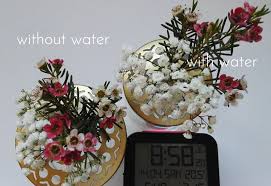 Get deals with coupon and discount code! Flowers As Hair Accessory Part 2 Daniela M Weise