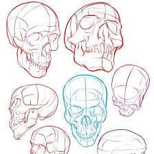 Www Posemuse Com For All My Info And Links Figuredrawing Art Artist Artwork Learn Drawing Pose Reference Skull Sketch Drawing Reference Skull Drawing