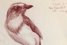 11 Best Free Drawing Courses Certification 2021 Update This is one of the best online drawing course that teaches some basic to advanced techniques like perspective drawing and shading.