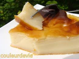 Flan Patissier Au Thermomix Flan Patissier Flan Patissier Thermomix Flan Facile