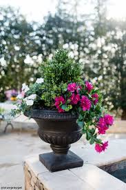 Check spelling or type a new query. May Newsletter Artificial Outdoor Plants Wall Planters Artificial Plants Outdoor Artificial Flowers And Plants Fake Flowers