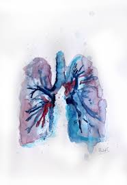 Medical Art Lungs Art Print Lungs Art Biology Art Medical Artwork