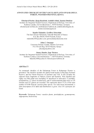 Image result for Agelanthus toroensis