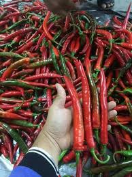 It is located in the center of district. Cili Kulai Am3008 F1 Shopee Malaysia