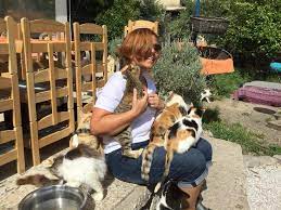 Our shelter in Samos is truly... - Greek Cat Rescue Samos | Facebook