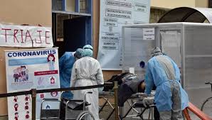 Este caso es el primero de hongo negro en el territorio; Coronavirus Bolivia Registra El Primer Caso De Hongo Negro En Paciente Recuperado De Covid 19 Nndc Mundo El Comercio Peru