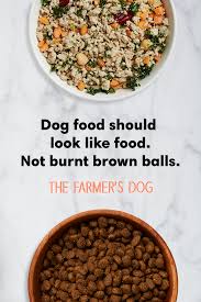 That's why we created the farmer's dog — a service that delivers balanced, freshly made pet food with simple recipes, guided by science, and driven by love. Pin On The Farmer S Dog