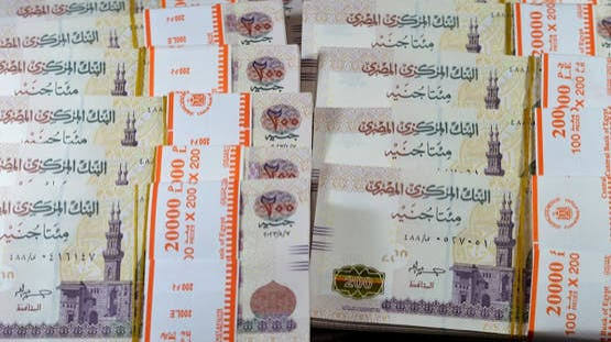 بنوك مصرية تتيح شهادات ادخار بعوائد مرتفعة لآجال أطول ضمن خطة هيكلة الودائع