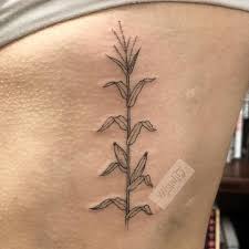 Dried corn stalks stock photos, images, & pictures. Corn Stalk Tattoo Farm Tattoo Small Tattoos Tattoos