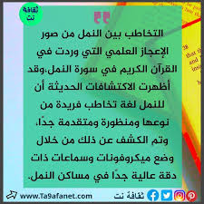 التخاطب بين النمل من صور الاعجاز العلمي في القرآن الكريم Puns