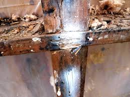 About a chat with sfw construction llc. Sfw Construction Llc Seattle 1 206 462 1270