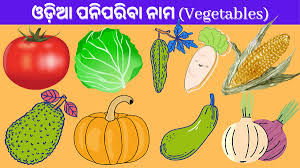 We use them for many purposes. Nijuktiodisha In Get Your Dream Job