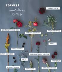 We did not find results for: Seasonal Flower Guide Fall