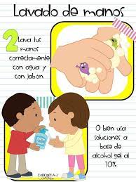 Piojos ¿qué son, cómo se transmiten y cómo prevenirlos? Covid19