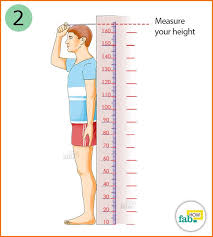 Take your height in metres and multiply it by itself (so for example, if your height is 1.6 metres, you do the calculation 1.6 how to compute bmi. How To Correctly Calculate Your Body Mass Index Bmi Fab How