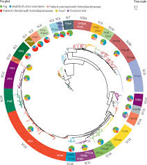 Dynamics Of Mcr 1 Prevalence And Mcr 1 Positive Escherichia Coli After The Cessation Of Colistin Use As A Feed Additive For Animals In China A Prospective Cross Sectional And Whole Genome Sequencing Based Molecular Epidemiological Study
