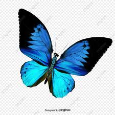 Download This Butterfly Blue Butterfly Butterfly Blue Butterfly Blue Png Clipart Image With Transparen In 2020 Blue Butterfly Butterfly Images Blue Morpho Butterfly