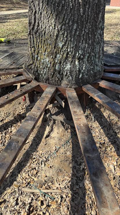 Shoutout to the people who thought wrapping a tree in solid metal was a  good idea : r/mildlyinfuriating