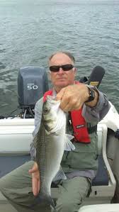 Pollack plentiful but bass less so for fly fly anglers in Cork Harbour last  week