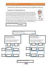 Video recap monohybrid crosses (mendelian) mysterious fred: Amoeba Sisters Monohybrid Worksheet Amoeba Sisters Video Recap Answers Key Photosynthesis And A Review Of The Vocabulary Terms Introduced During The Amoeba Sisters Videos Froo Nta